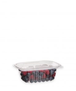 Jaya,PLA Hinged Containers,Clamshell,compostable,eco-friendly